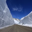 타이야소 이미지