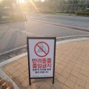 공주시시설관리사업소공주한옥마을 | 공주한옥마을 여행기: 아이와 함께 즐긴 전통체험 &amp; 여름 힐링코스