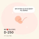 2024년 여름에서 겨울까지 어마어마하게 밀려버린 일상 기록