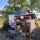 여주-0011 | 2025.12.09 미야코지마 2일차