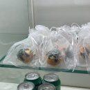 타코비 야당점 이미지