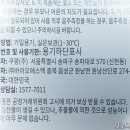 플로민트