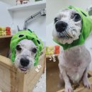 보리미용실 이미지