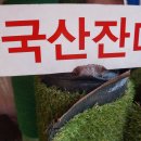 중앙디자인포장 네이버블로그