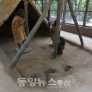 관양동 청동기유적 이미지