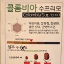 콩스킹 이미지