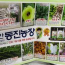 동진농장영농조합법인 이미지