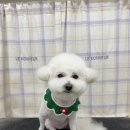 탱스땡스 이미지