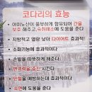 2020037 | 모란맛집 거진항 맛집 코다리네 솔직 후기