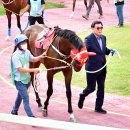 캡틴축산 이미지