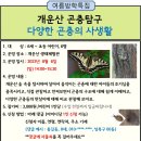 8.6(일)여름방학특집 개운산 곤충탐구(다양한 곤충의 사생활)_오후2시_6세~초등생 대상 이미지