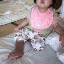 3595 | 12개월 아기랑 거제도여행 1편 [거제 덴바스타료칸, 거제식물원, 두록카페]