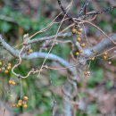 이기대 동생말 이미지