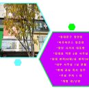 장안드림부동산공인중개사사무소 이미지