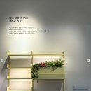 디자인레어