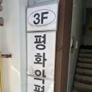 평화문구 | 전주 : 전주 감성카페 추천🌿 평화와평화 분위기 미쳤다! (사진 가득 후기)