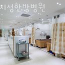 바른지성한방병원 네이버블로그