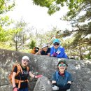 강나루오토캠핑장 이미지