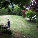 지현이네 이미지