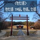 헌인릉 | 2025.11.18. 헌인릉👑⛩️