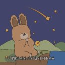 토리네 이미지