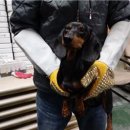 갈마2동 행정복지센터 피플워치