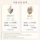 튤립 | | 충남 아산 | 피나클랜드 봄 튤립 축제 후기 ( 작년, 올해 방문 )