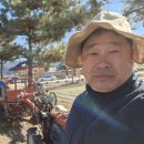 도일카센타 이미지