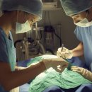 문막동물병원 이미지