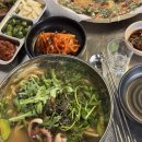 뚝방해물칼국수 이미지