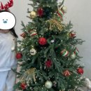 자이이화음악학원 이미지