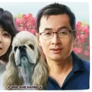 예쁘개 이미지