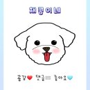 노도민박 이미지