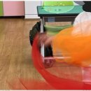 마음뜰예술심리상담센터