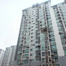 새꽃마을 향동 포장이사 후기 및 주의사항 / 3호라인 더블이사 / 고객님 2시간 지각 / 해성익스프레스