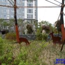 지웰리치공인중개사사무소 이미지