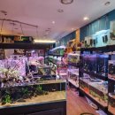 플랜츠비 이미지