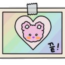 샤도넛츠 이미지