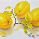 묘한향기 이미지