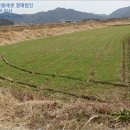 창리마을  용두마을 이미지