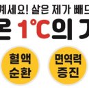 쏙점핑&온열