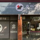 휴안과동물병원 이미지