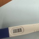 예일한의원 | 시험관 1차 동결 5일 배아이식 1일차~5일차