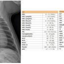 천안24시스카이동물메디컬센터 이미지