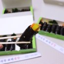 맛자랑꼬마김밥 네이버블로그