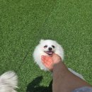 멍데이유치원