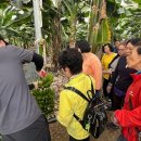 진도군보건소 이미지