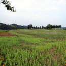 연천삼곶리돌무지무덤 이미지