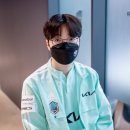 스프링탑
