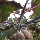 성림농원 이미지